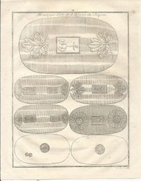 Japanische Gold- und Silberm&uuml;nzen 1752 1-2024 001